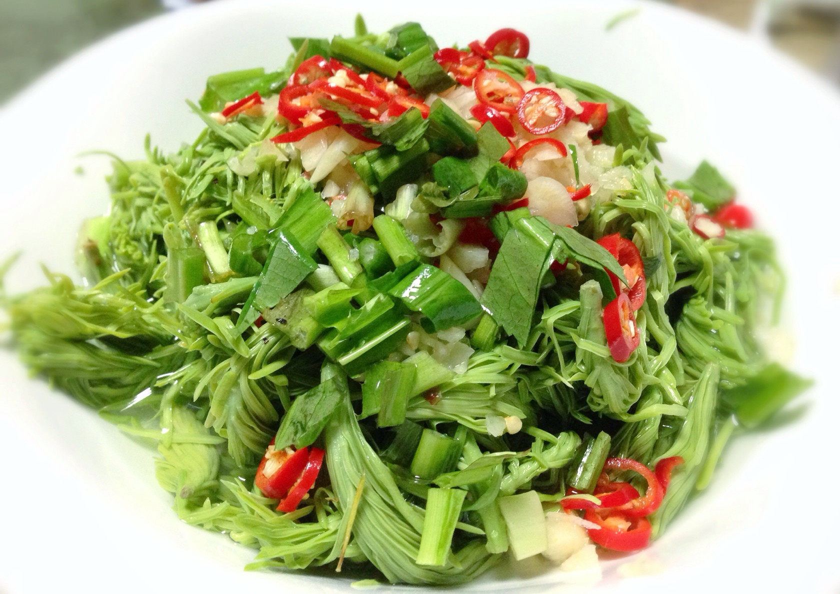 高山沙松尖1000克酒店特色菜半成品凉菜食材新品饭店餐厅私房菜