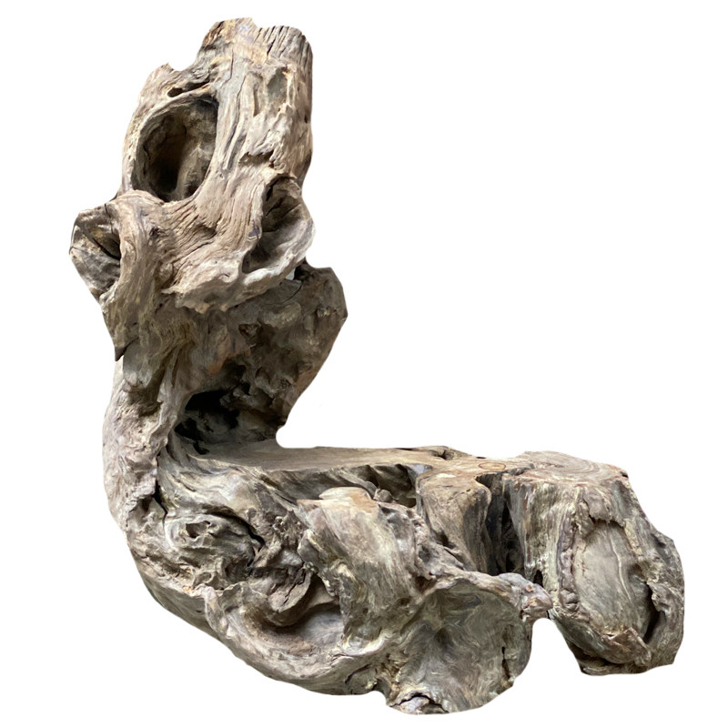 胡杨木杨木原木天然随形树根新疆根雕抽象摆件