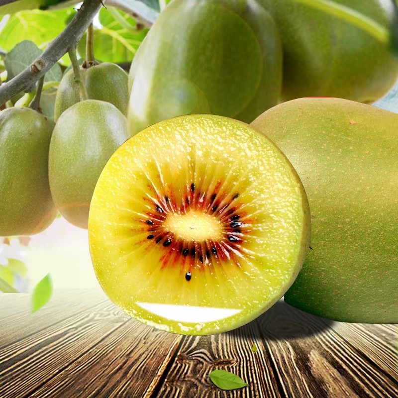 眉县猕猴桃5斤新鲜水果包邮陕西9月农产品奇异果奇异果