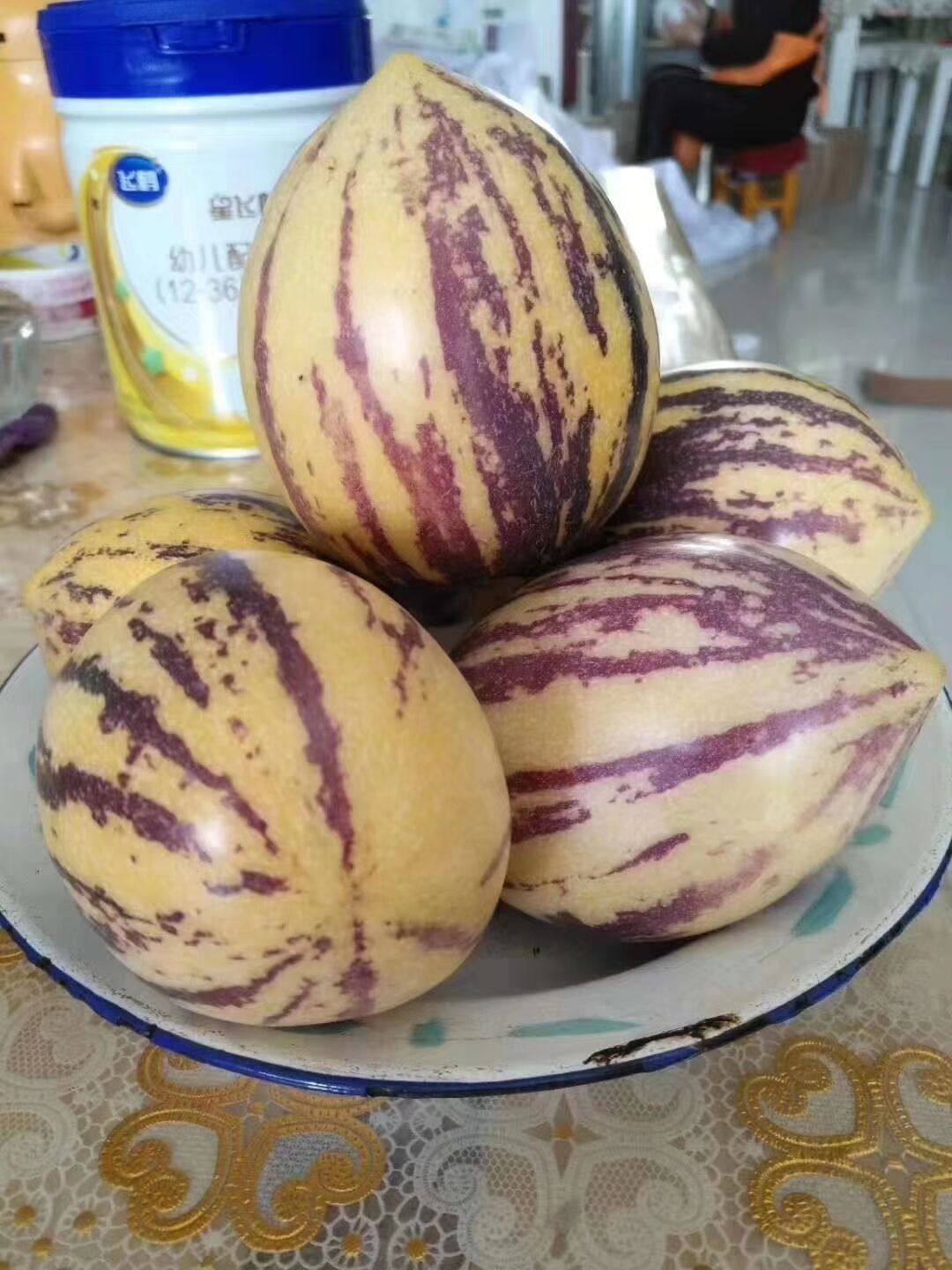 甘肃民勤特产人参果农家种植时令生鲜水果孕妇人参果