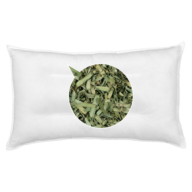 新鲜油柑叶枕头荞麦壳手工油甘子枕头枕芯保健护颈牛甘果叶香软枕