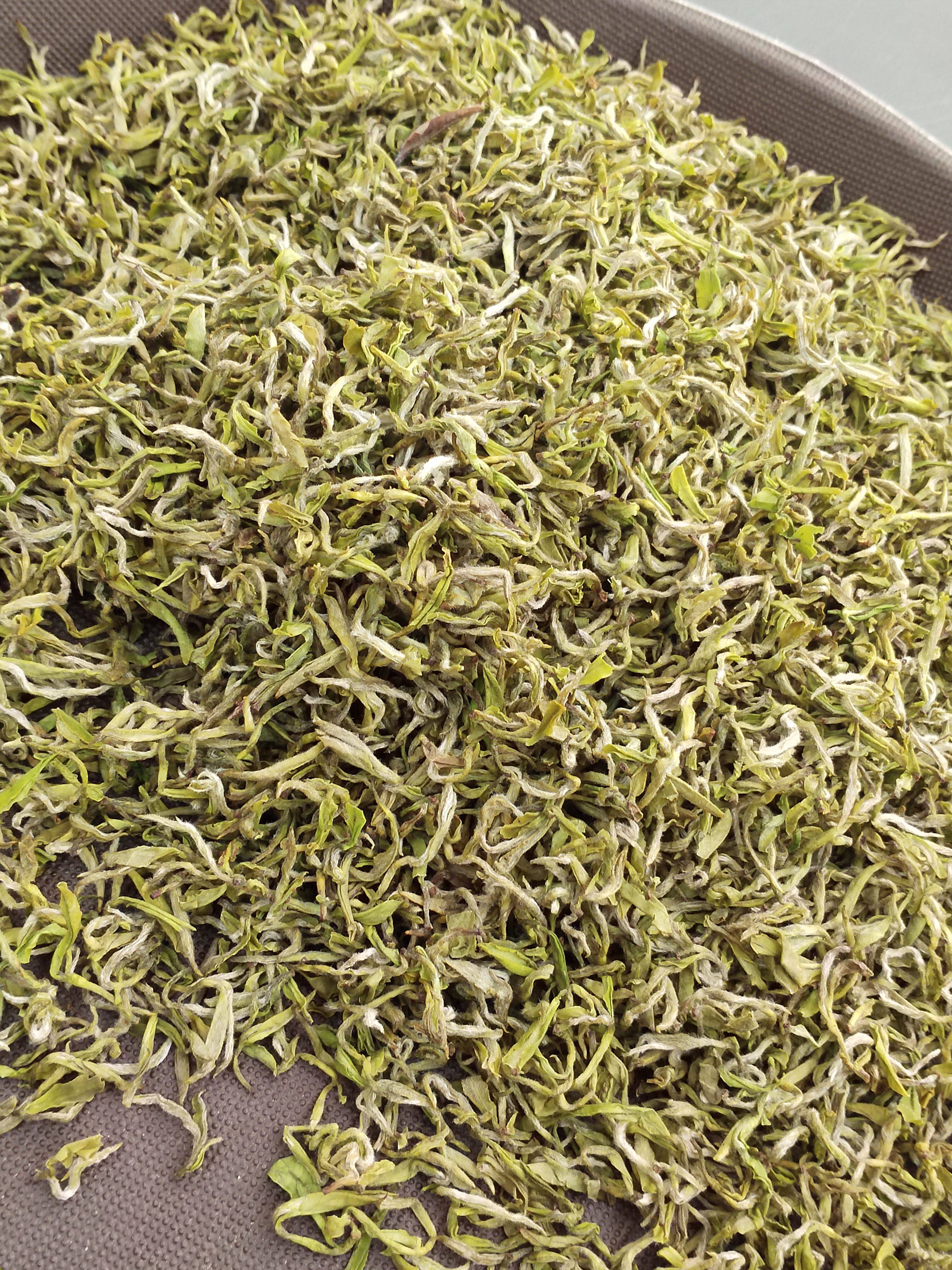 白茶2022明前新茶常熟虞山工艺碧螺春手工黄金其它绿茶