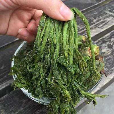 沂蒙山香椿咸菜头茬山东特产露天野生香椿头腌制