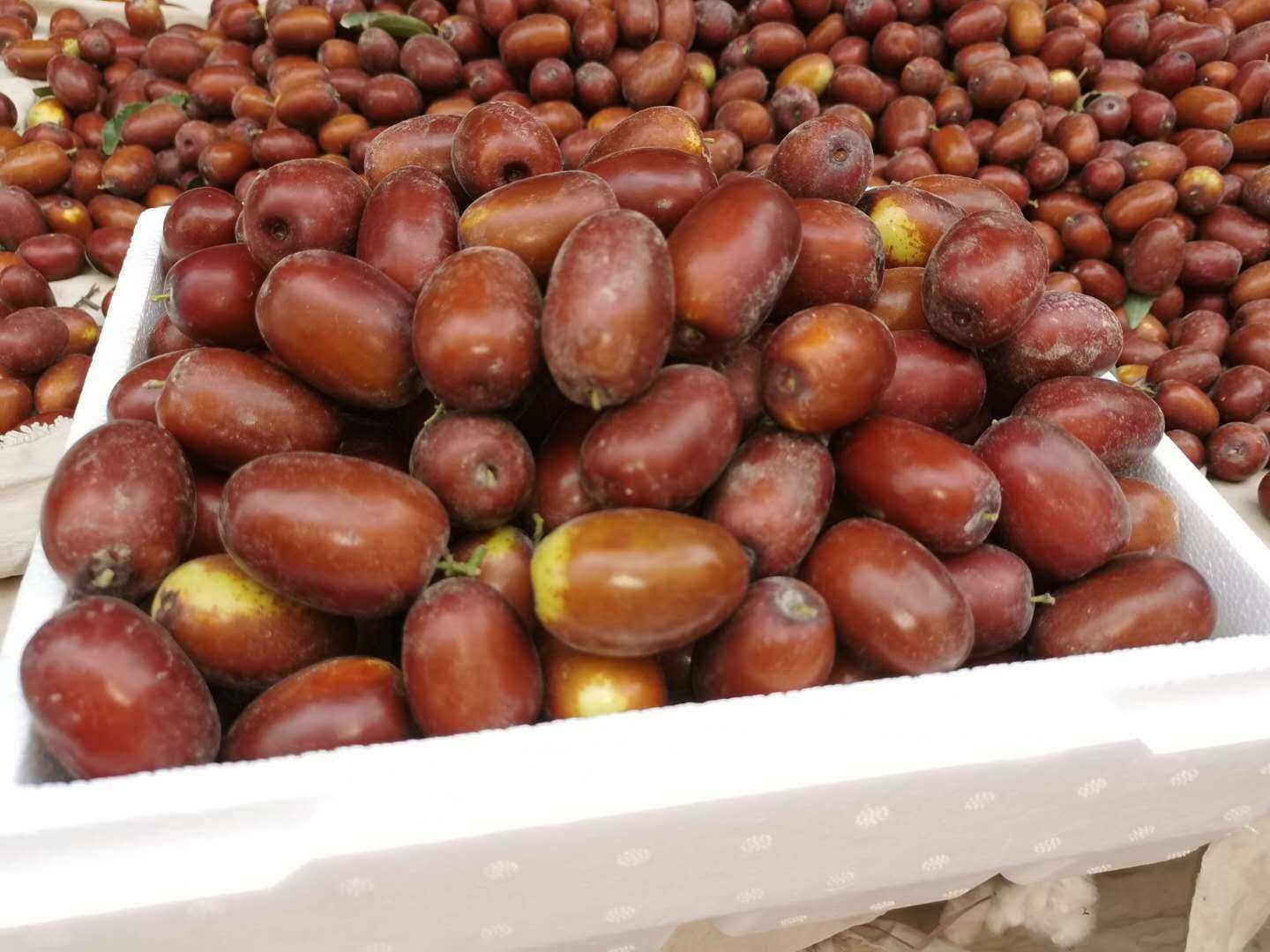 新疆鲜枣灰枣新鲜红枣甜枣冬枣大枣孕妇水果枣