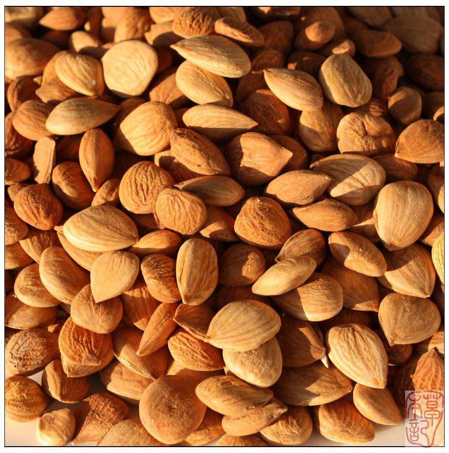 药用野生杏仁山杏仁半斤250g陕北农村特产三件杏仁