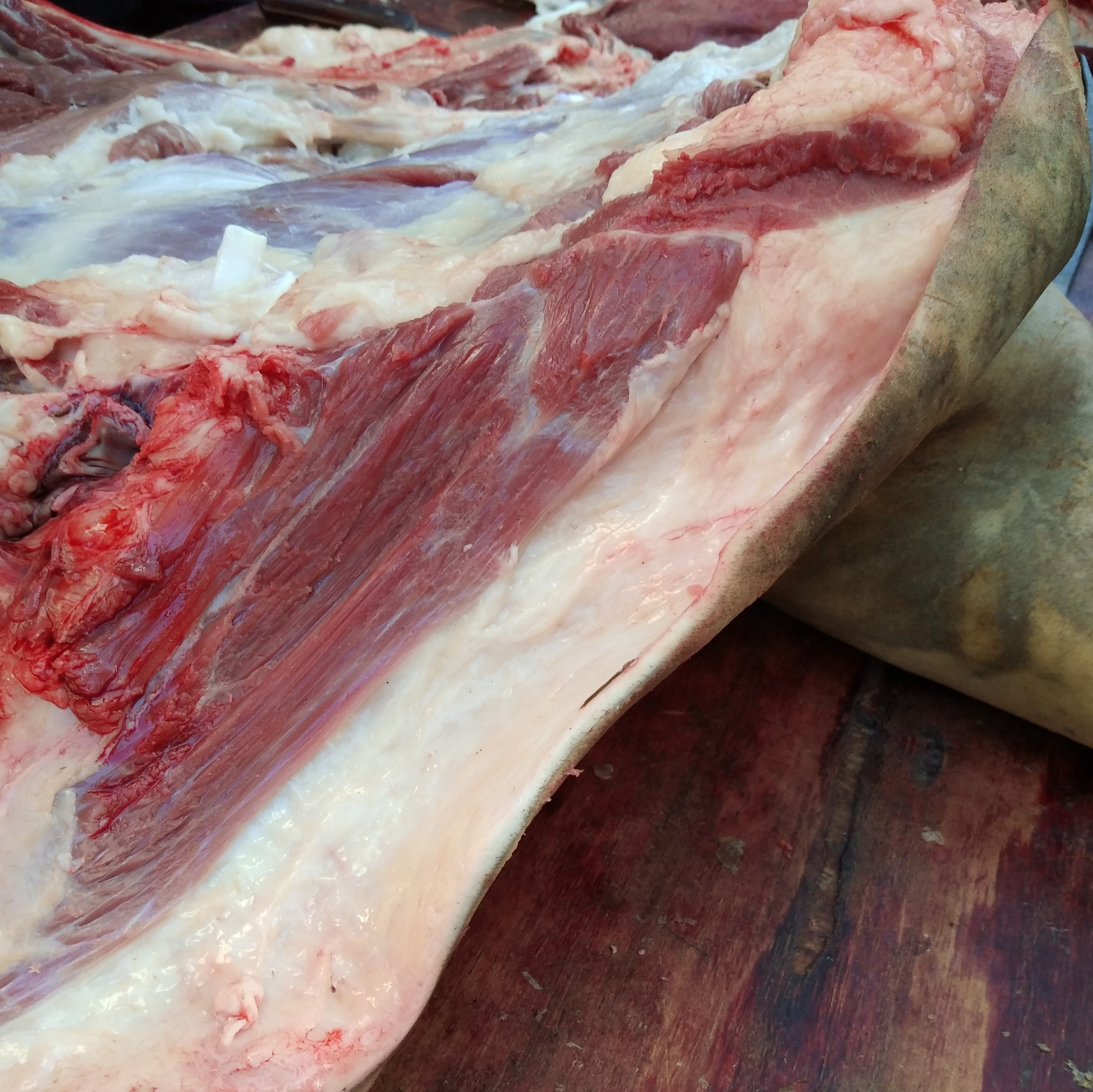 牛肉贵州皮黄500g5份包邮新鲜现杀生牛肉