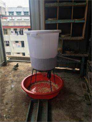 适用于自动喂食器鸡投食鸽子全自动定时料器养下喂食器