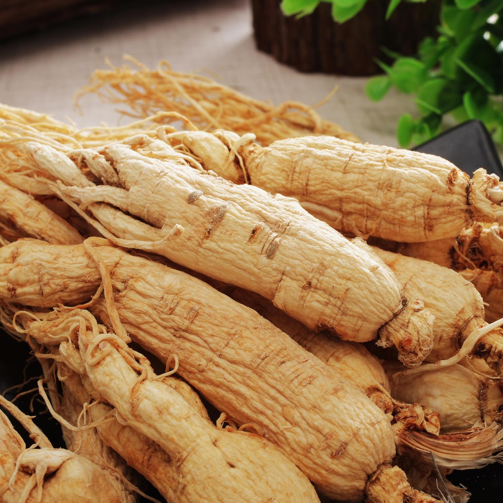 长白山人参白参生晒参野山参8年根 东北人参片大支100克4支包邮