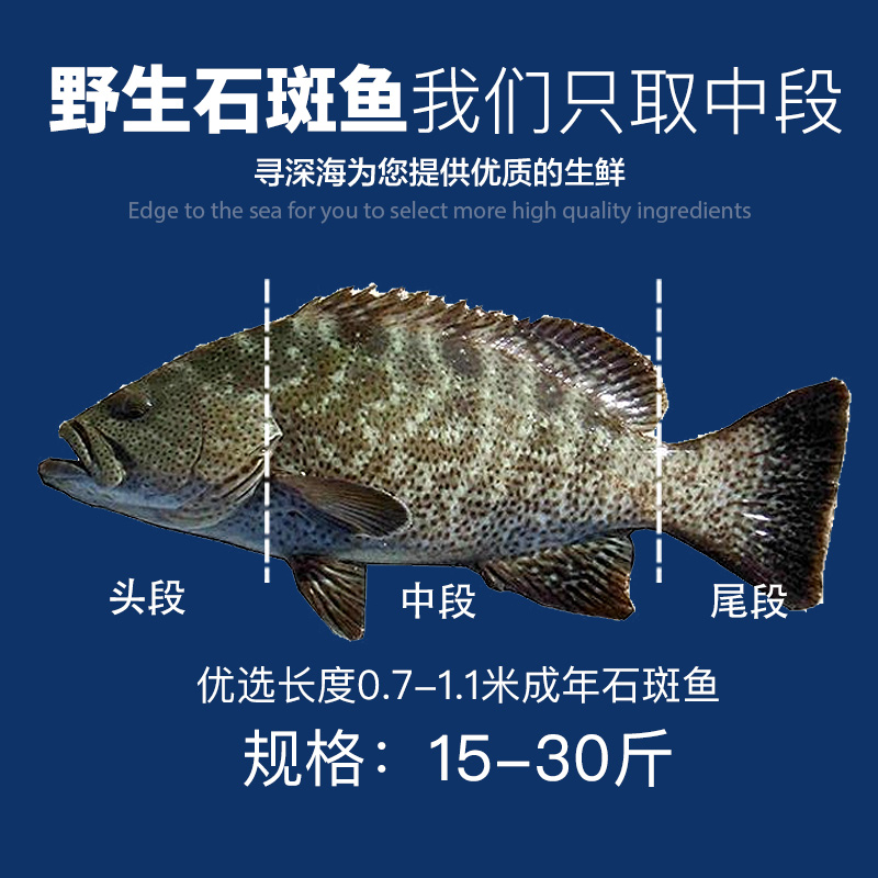 石斑鱼3斤切片海南文昌清澜印象顺丰空运包邮斑鱼