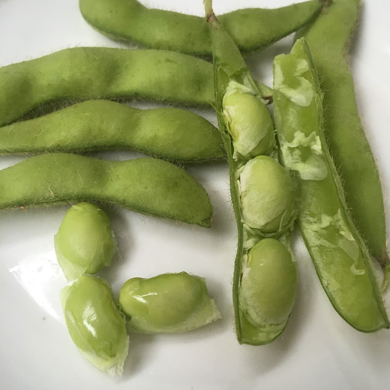 今日毛豆油行情_河南今日猪价行情_饲料油今天行情