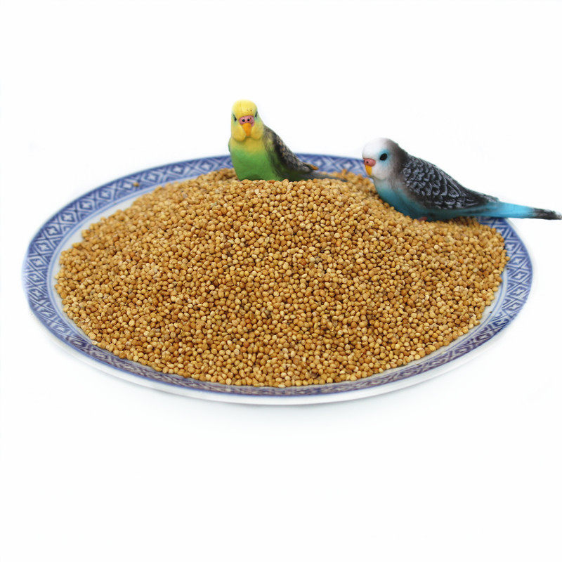 包邮黄谷子带壳小米虎皮牡丹鹦鹉鸟食鸟粮5斤装鸟食