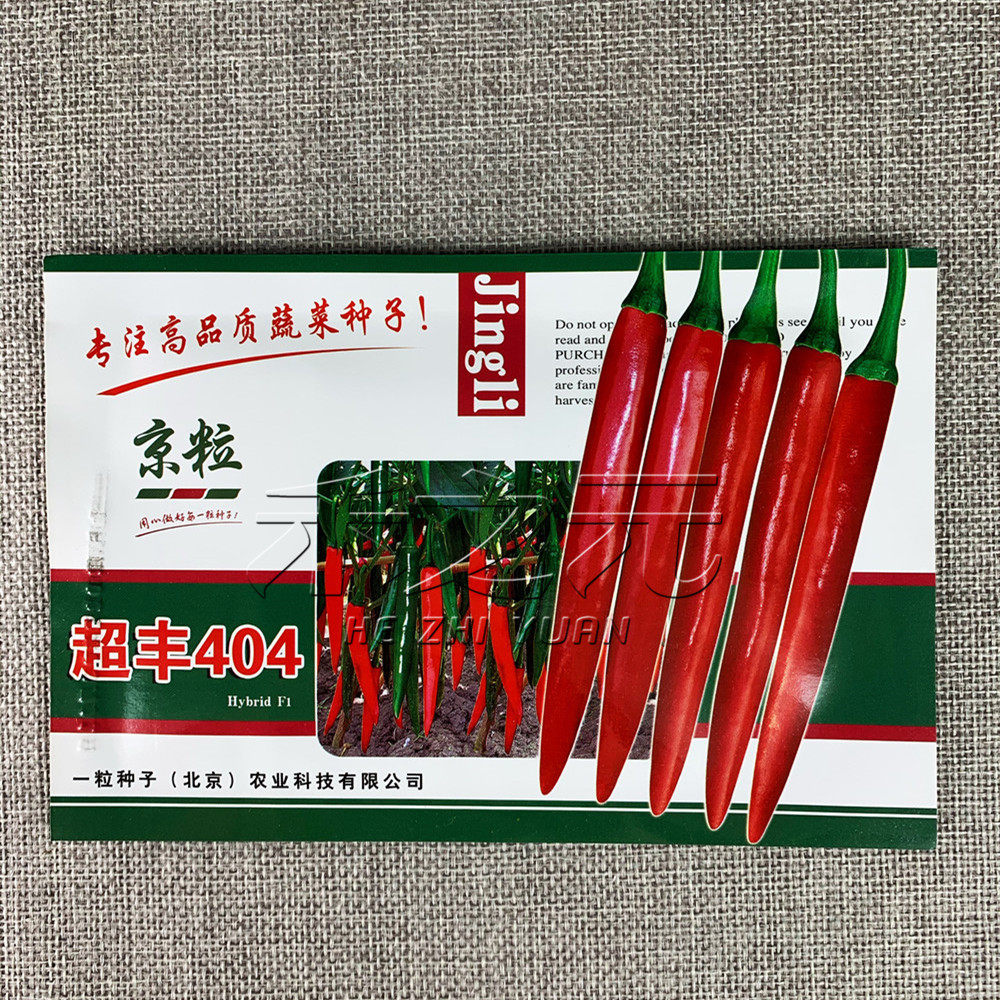 四季超丰美人椒籽种子辣椒种孑菜籽籽种南方家庭园艺种子