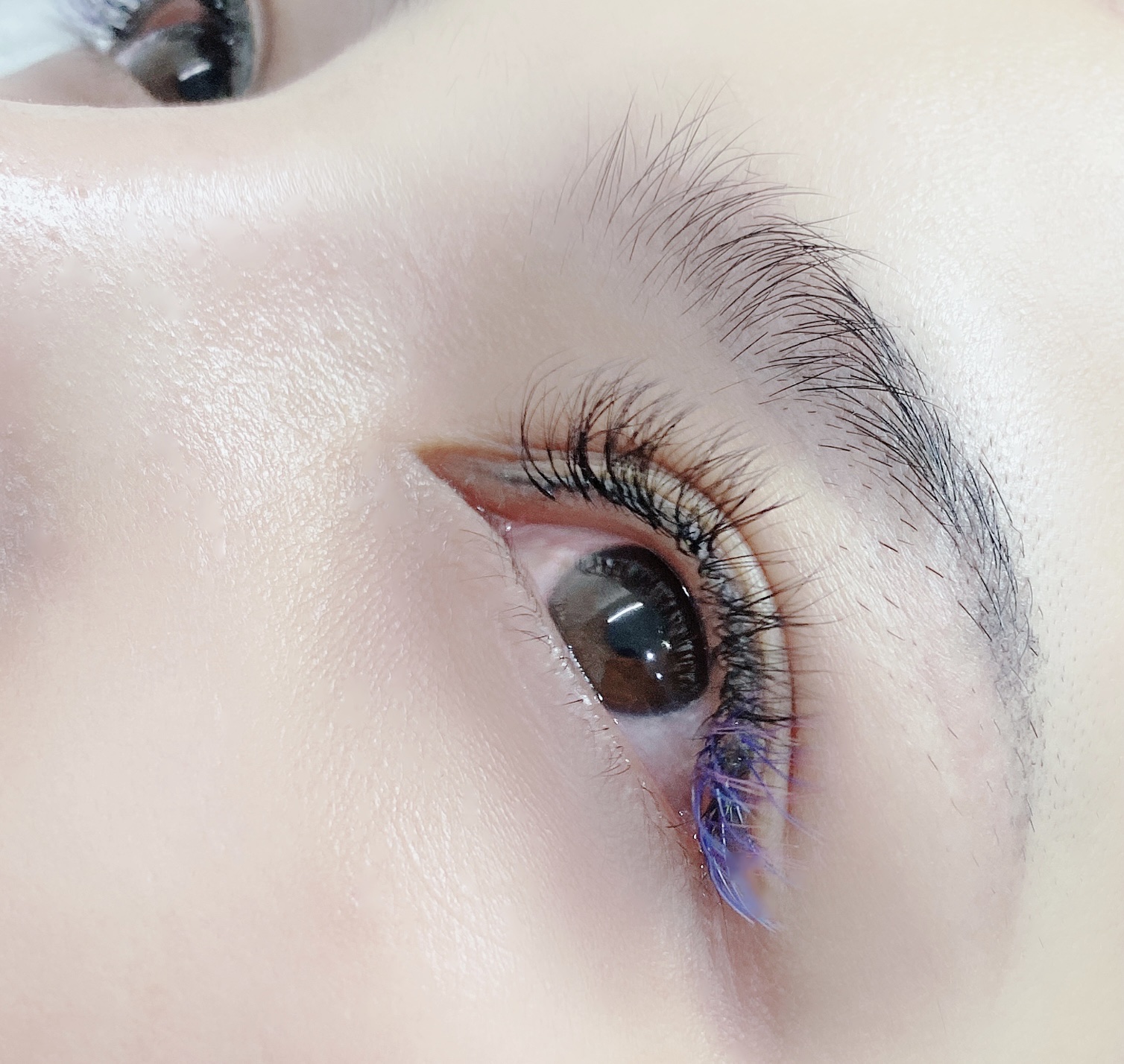 芭比开花宅巧眼睫毛假眼yy种植一秒嫁接睫毛假睫毛