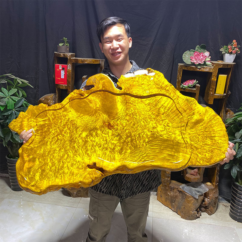 黄金樟木茶盘家用高端天然实木整块金丝楠木茶盘