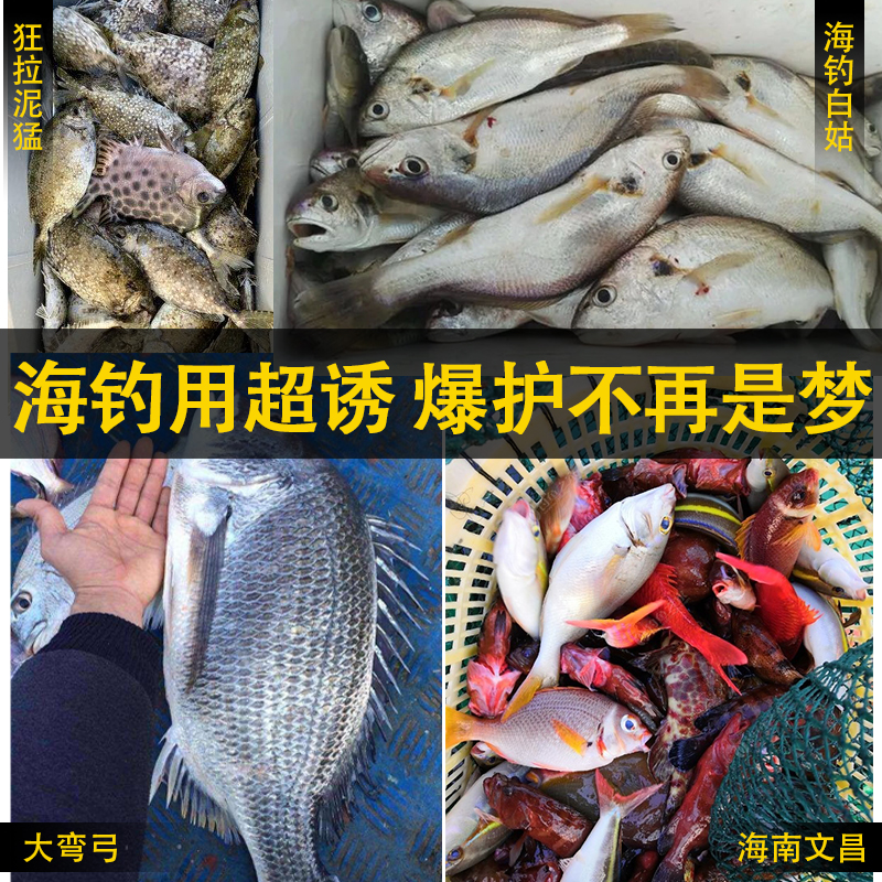 海钓小药鱼饵乌头饵料诱鱼剂鱼腥素黑伴侣梭鱼鱼饵