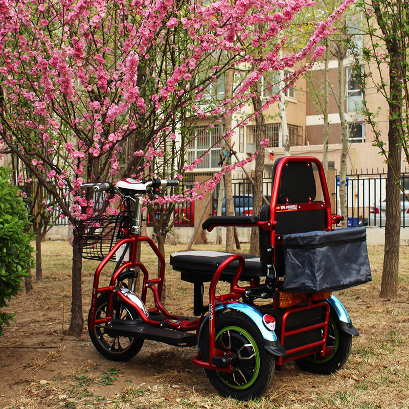 奥友老人代步双人折叠电动三轮车自行车铅酸锂电老年代步车