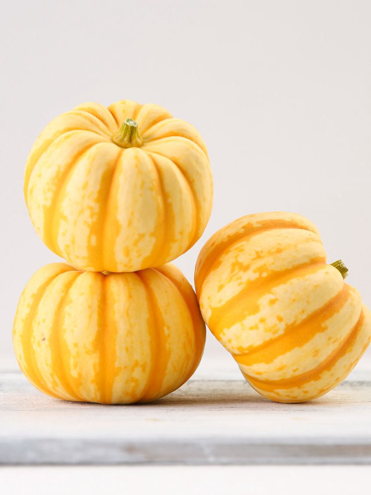 旭耕生态黄金南瓜500g新鲜板栗味软香甜金丝其它