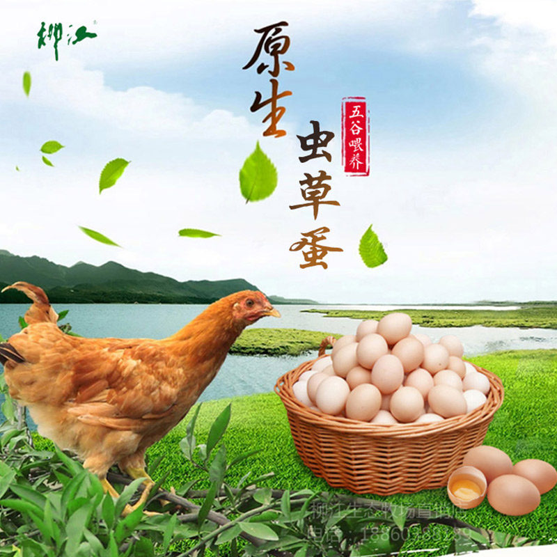 虫草蛋宝宝孕妇食用新鲜纯天然散养虫草鸡蛋30枚