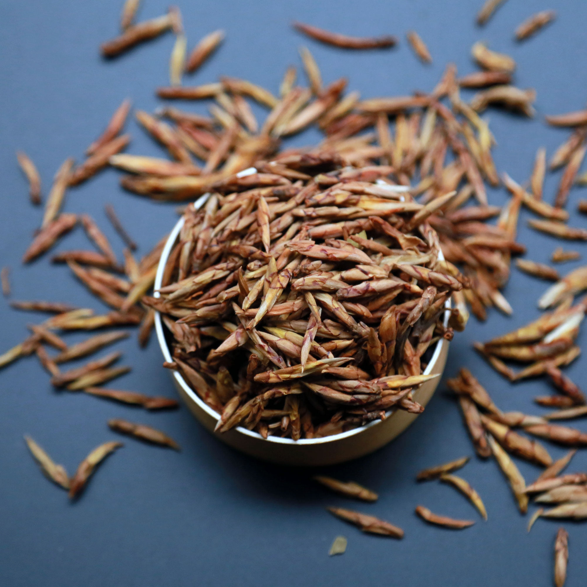 柿子小哥四川旺苍米仓山特产2021新茶老鹰茶白其它白茶