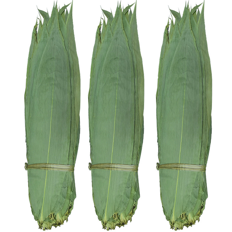 粽叶100张大粽叶烘干大粽子叶新鲜农家自然包粽子皮竹干粽叶免邮