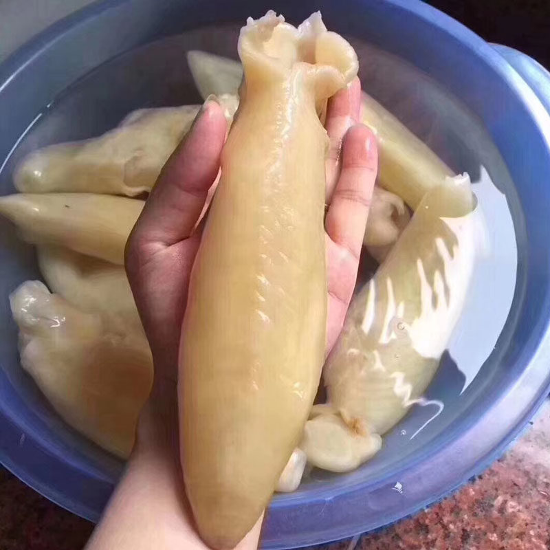 35头陈年老花胶 品质杠杠的 高泡发 肉厚 黄花鱼胶满