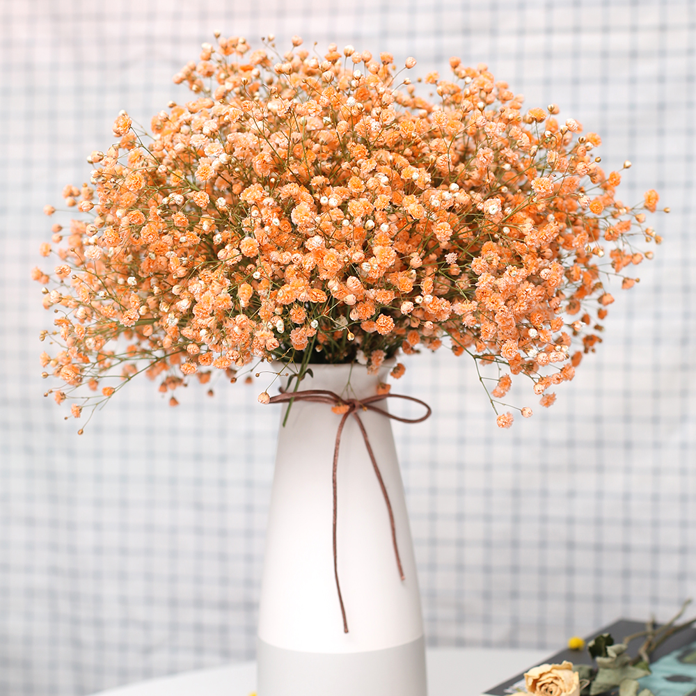 助农满天星干花七彩满天星鲜花云南昆明基地直室内装饰同城速递