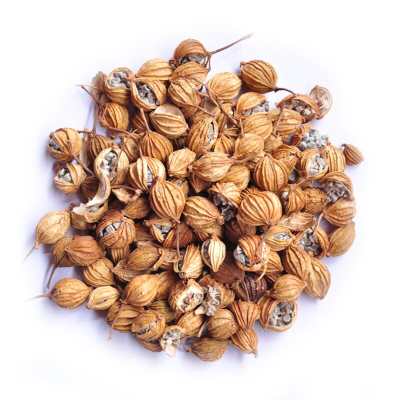 香料砂仁卤肉大全50g起沙仁香调料包卤肉炖肉花椒