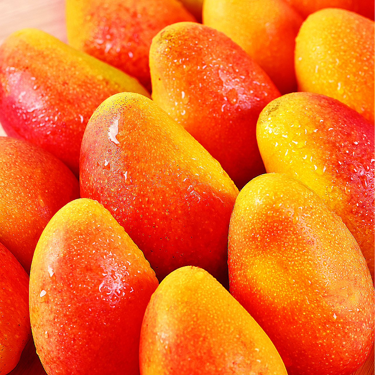 海南当季辣椒龙大红金龙红金树上包邮贵妃水果芒果