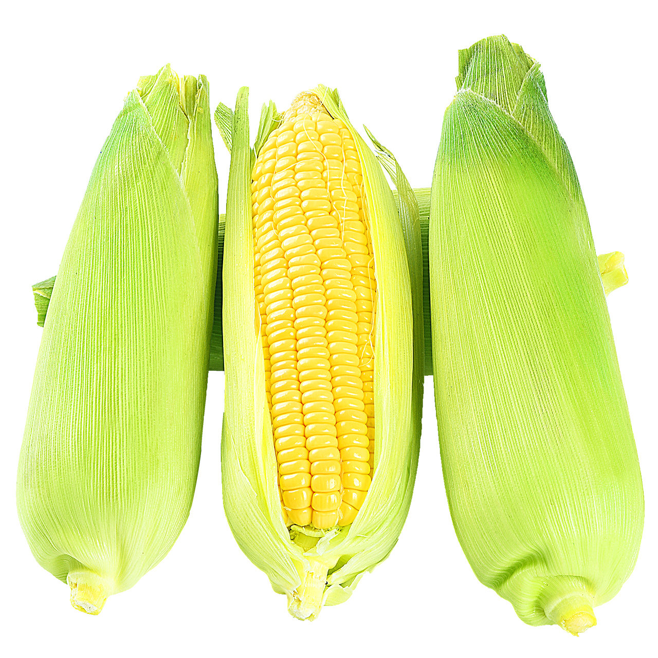 玉米福瑞达水果新鲜10斤整箱现摘玉米棒生吃甜脆新鲜玉米