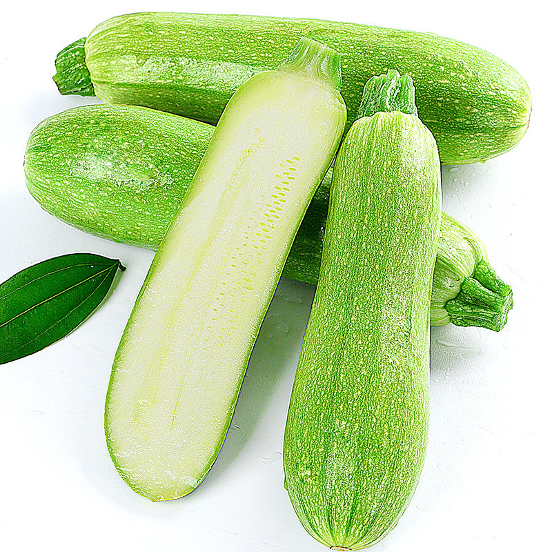 现摘现发西葫芦5斤农家自种新鲜当季蔬菜角瓜小茭瓜包邮批发