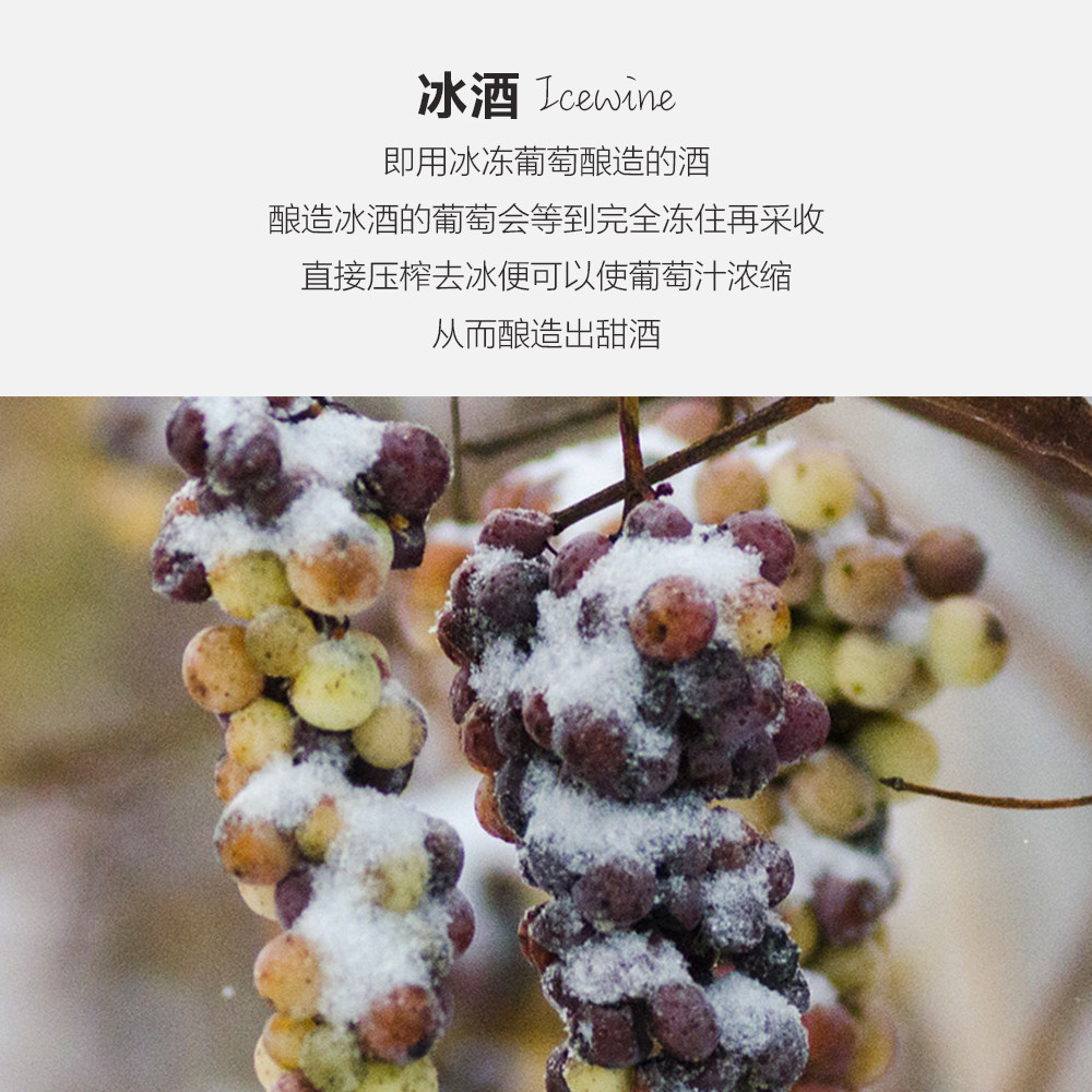 冰天雪地孕育纯净果香加拿大进口vqa冰酒白葡萄酒icewine甜型葡萄酒含