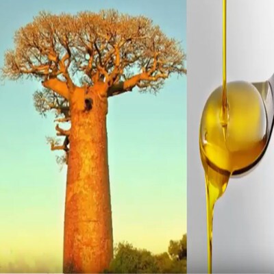 100ml猴面包树油baobab oil基底油按摩修复精华油淡化痘印妊娠纹