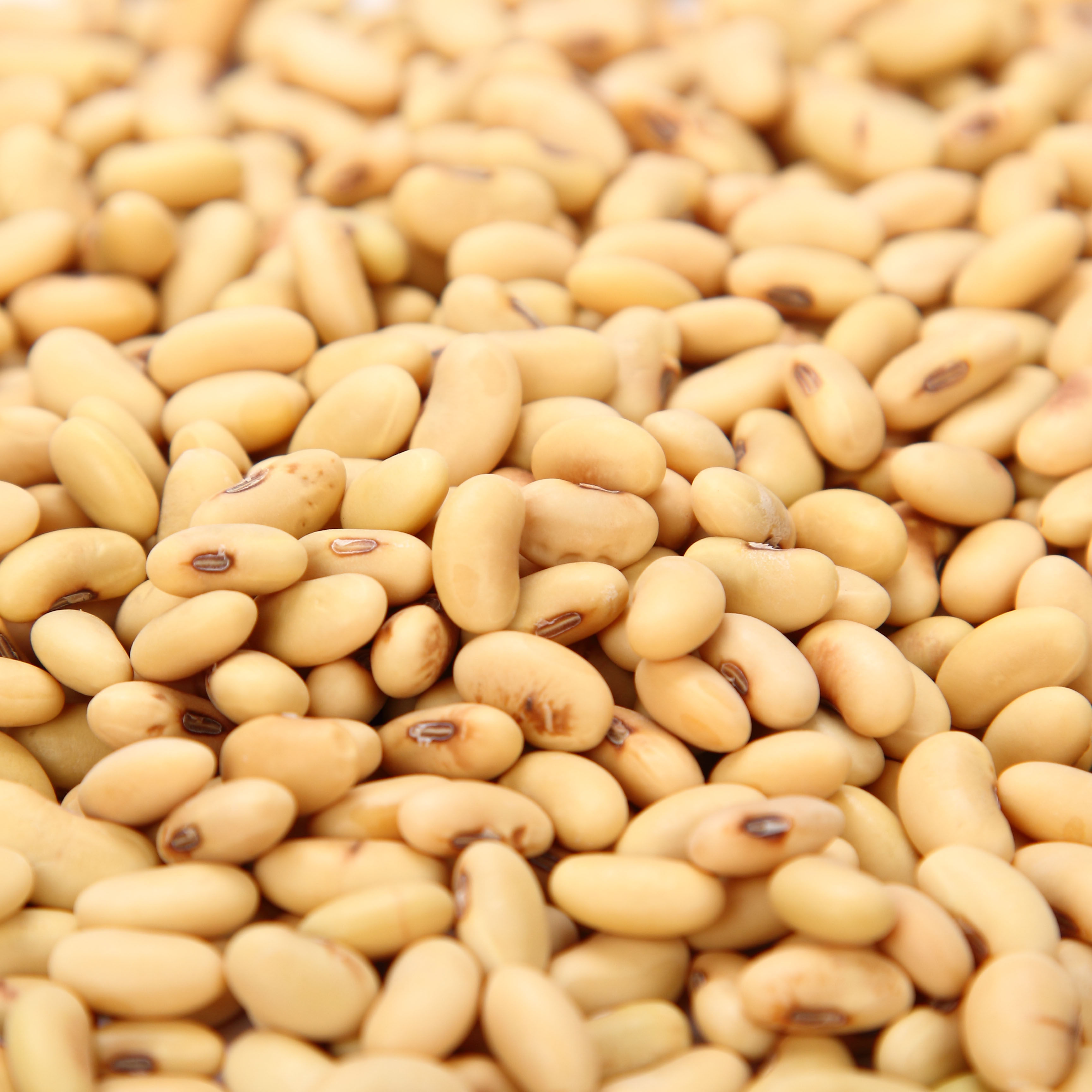 黄豆农家自种5斤小黄豆芽专用豆豆豆浆肾形黄豆