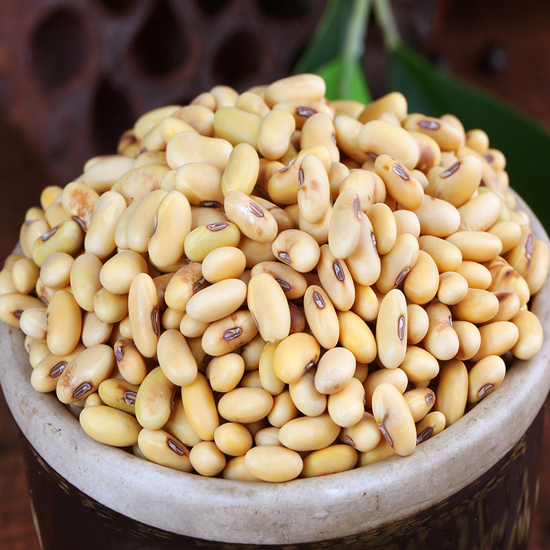 黄豆肾形农家自产长扁椭圆形转基因大豆2500g豆浆黄豆