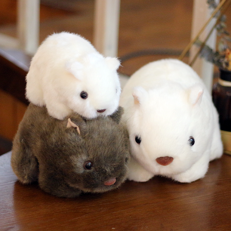 仿真豚鼠公仔小号毛绒玩具可爱爱小荷兰玩偶儿童毛绒
