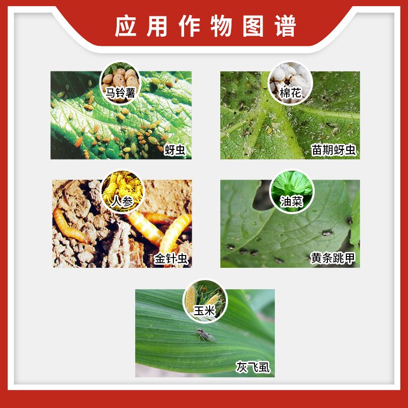先正达锐胜噻虫嗪种衣剂拌种棉花蚜虫蓟马灰飞杀虫剂