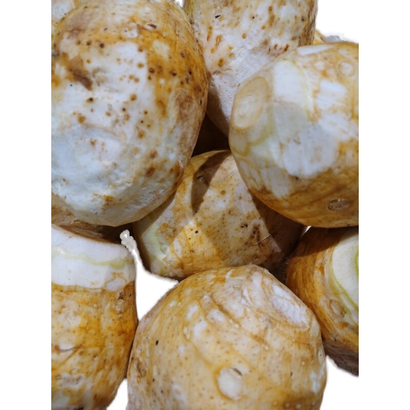 江西赣南特产石城芋头500克五件起包芋头