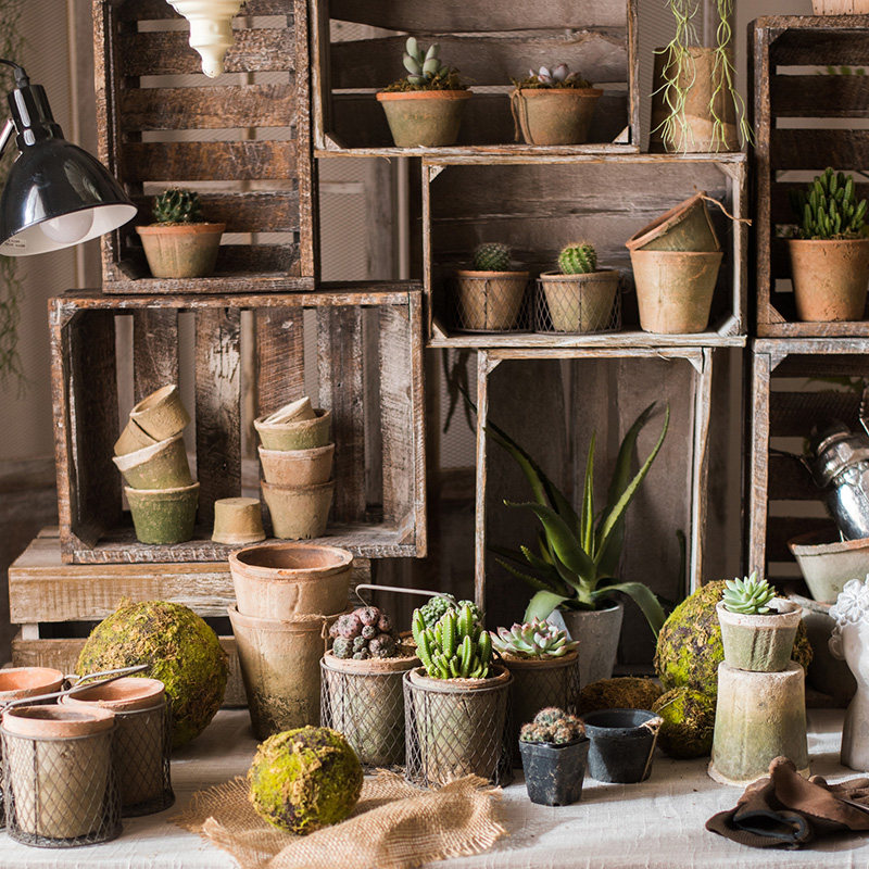 掬涵花园 自然生长青苔红陶花盆经典素朴日式风格种植器皿杂货