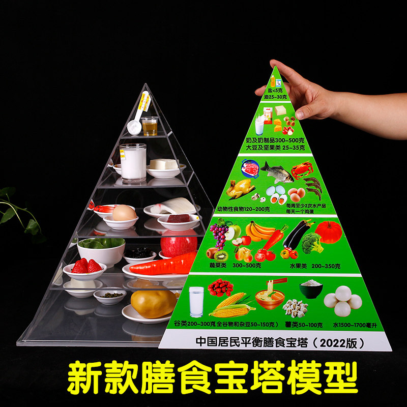 2022年新版中国居民营养膳食宝塔教学仿真食物仿真水果