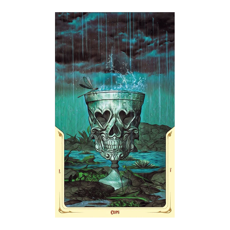 现货进口正版死亡圣神塔罗santamuertetarot桌游卡牌