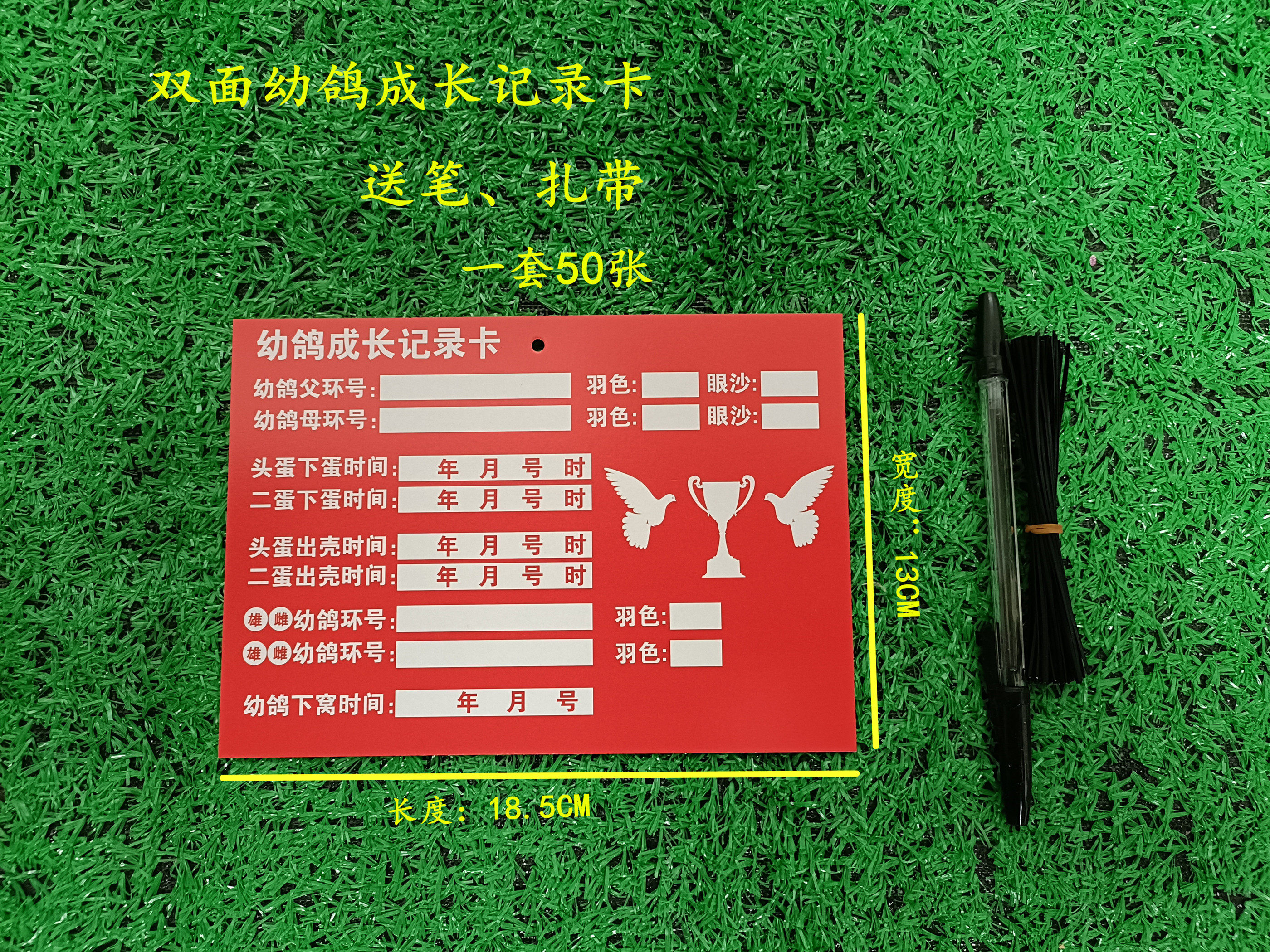 直系一套鸽子养殖表册用品具幼成长记录配对登记其他