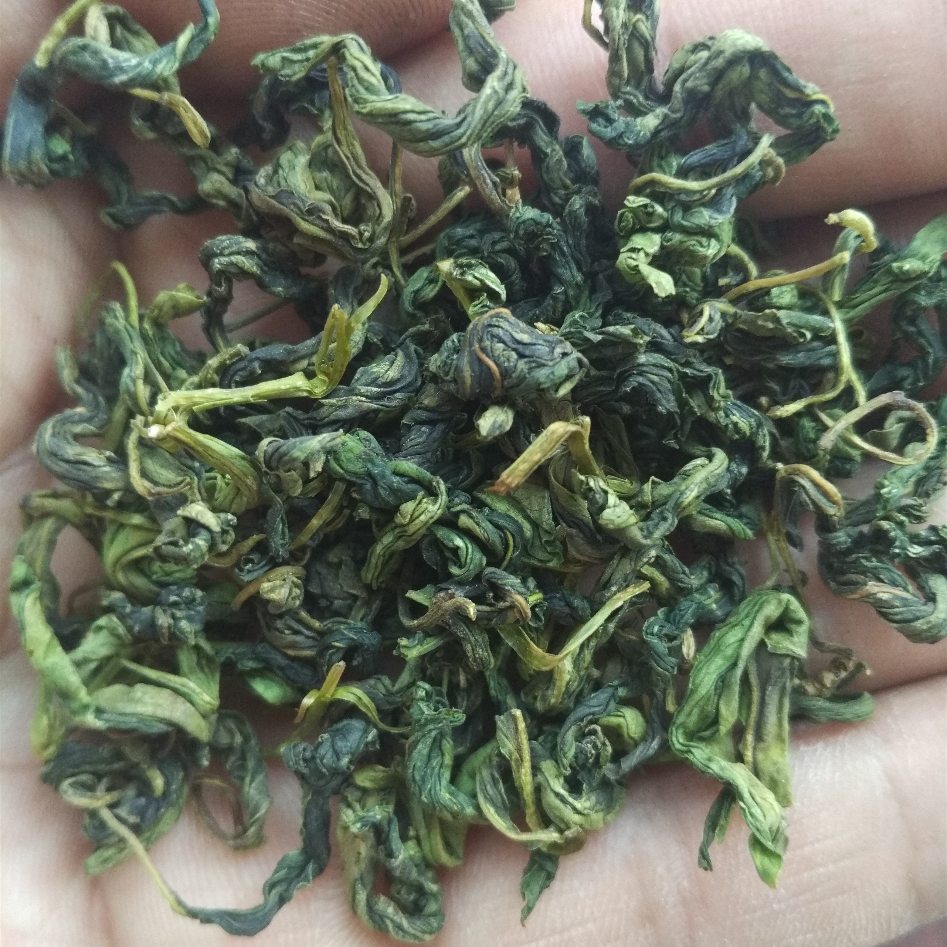 丁香茶茶叶茶理九珍特级非特胃茶叶养丁香花茶代用