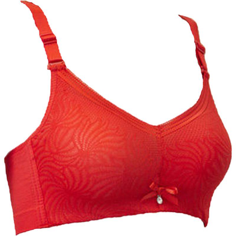 依格尔四拍文胸下垂上托感棉竹炭内衣钢圈聚拢文胸