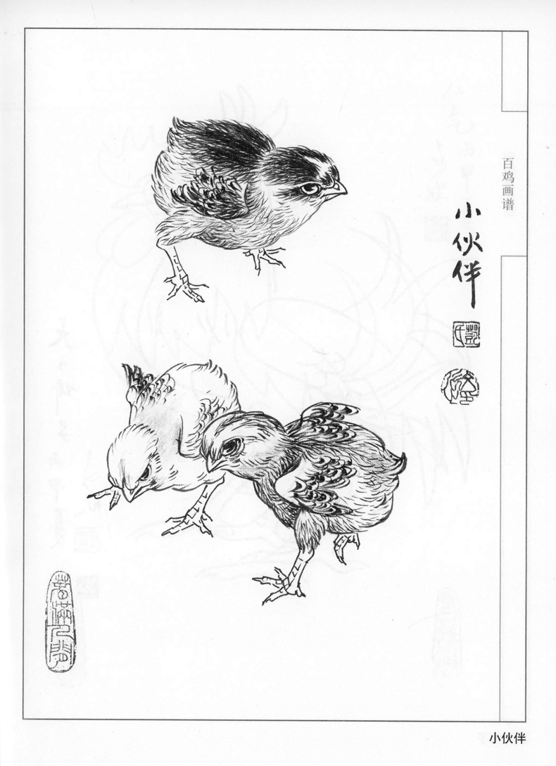 手绘线描白描画谱 山水花鸟动物人物画谱工笔画谱中国画白描画谱国画