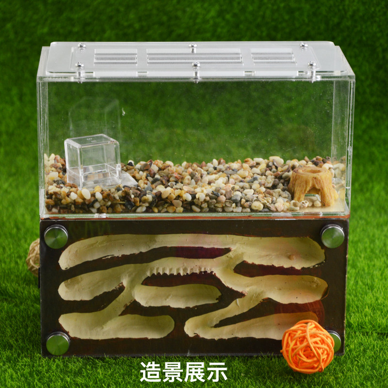 蚁巢蚂蚁施王蚁新款立体石膏地下宠物繁殖饲养蚂蚁工坊