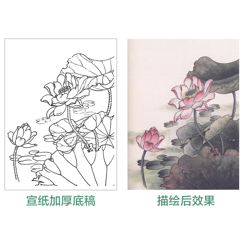 荷花花鸟牡丹可直接上色带步骤国画教程零基础成人学生勾线熟宣纸毛笔