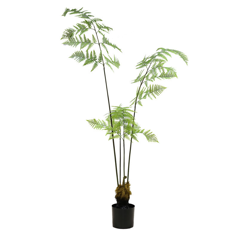 北欧ins日式仿真金丝猴蕨草蕨树装饰绿植摆件仿真植物盆景