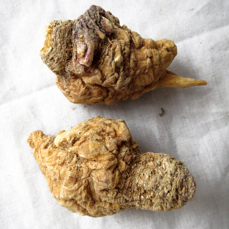 玛卡maca新疆天然原味无添加玛咖1斤起包传统滋补品其他