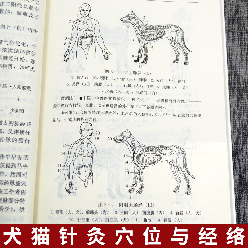 【畜牧】犬猫针灸疗法兽医书籍大全宠物常见病病例分析与治疗