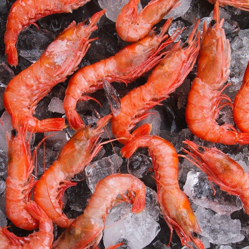 舟山红虾鲜活冷冻野生东海深海大头海虾海每斤活虾